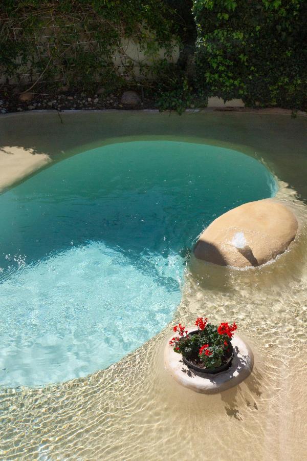 Sunflower Villa In Franschhoek Kültér fotó